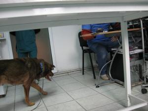 Прикачена снимка
