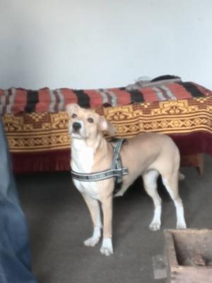 Прикачена снимка