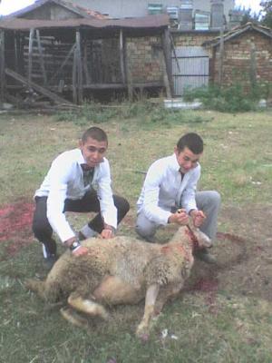 Прикачена снимка