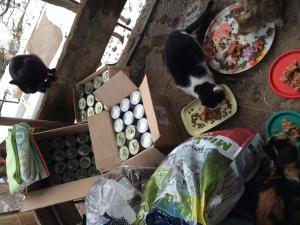 Прикачена снимка