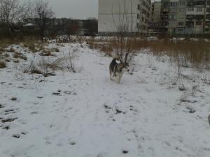Прикачена снимка