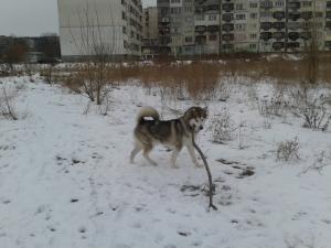 Прикачена снимка