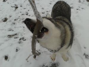 Прикачена снимка