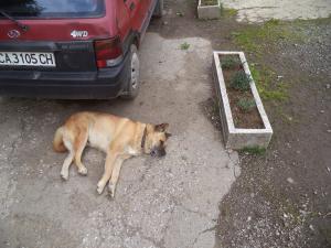 Прикачена снимка