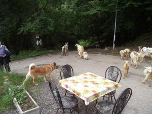 Прикачена снимка