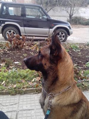 Прикачена снимка