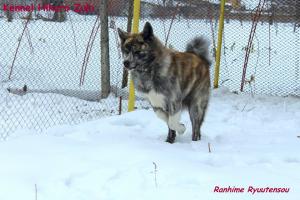 Прикачена снимка