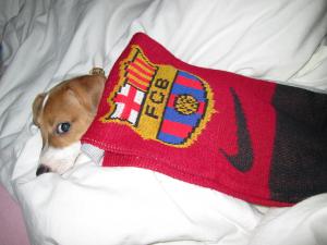 Прикачена снимка