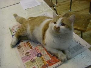 Прикачена снимка