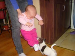 Прикачена снимка