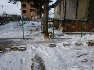 Прикачена снимка