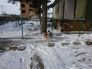 Прикачена снимка