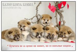 Прикачена снимка