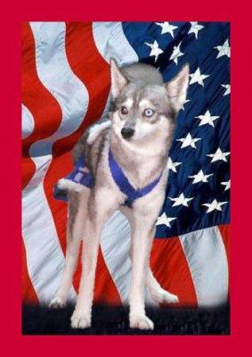 Прикачена снимка