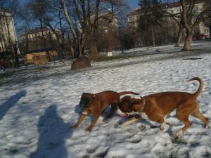 Прикачена снимка