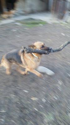 Прикачена снимка