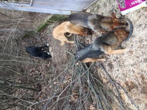 Прикачена снимка