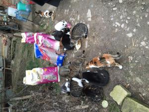 Прикачена снимка