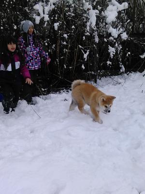 Прикачена снимка