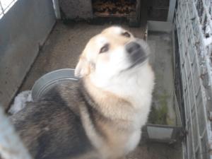 Прикачена снимка