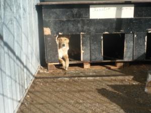 Прикачена снимка
