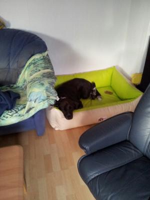 Прикачена снимка