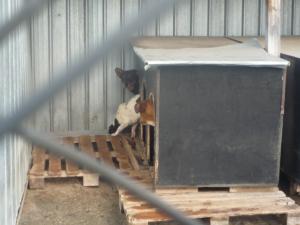 Прикачена снимка