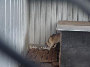 Прикачена снимка