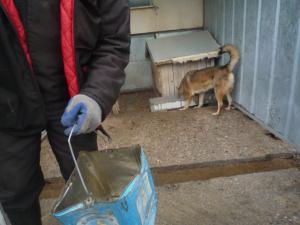 Прикачена снимка
