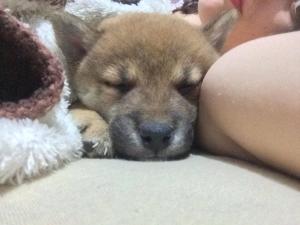 Прикачена снимка