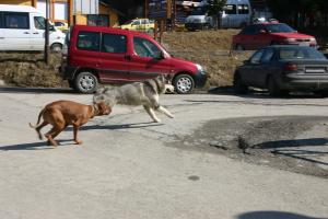 Прикачена снимка