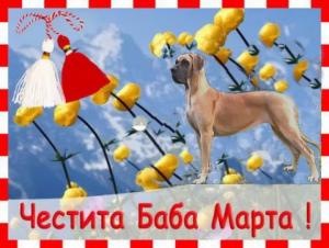 Прикачена снимка