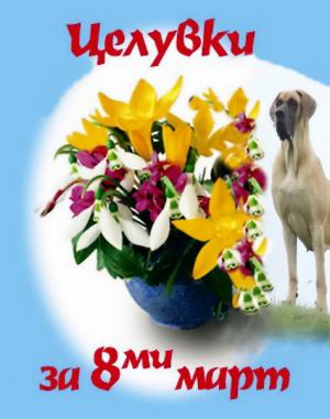 Прикачена снимка