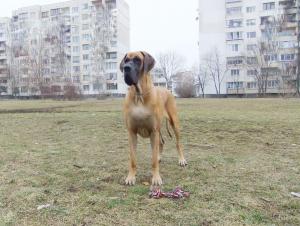 Прикачена снимка