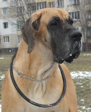 Прикачена снимка