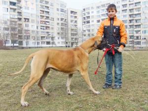 Прикачена снимка