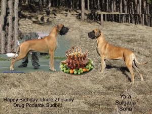 Прикачена снимка