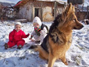 Прикачена снимка