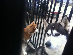 Прикачена снимка