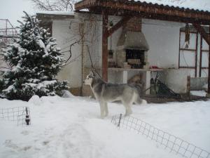 Прикачена снимка