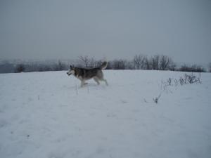 Прикачена снимка