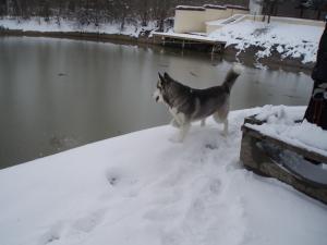 Прикачена снимка