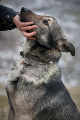 Прикачена снимка