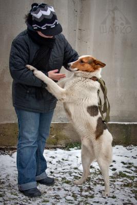 Прикачена снимка