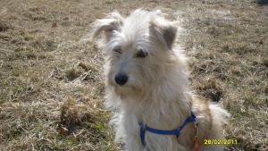 Прикачена снимка