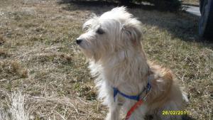 Прикачена снимка