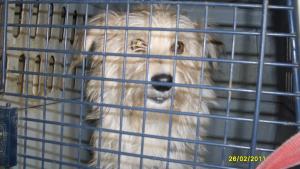 Прикачена снимка