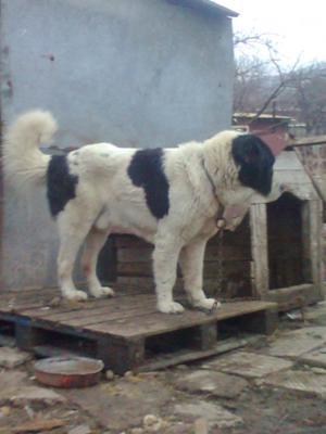 Прикачена снимка