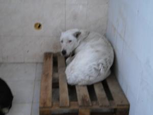 Прикачена снимка