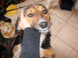 Прикачена снимка
